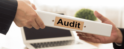 The Audit Objective